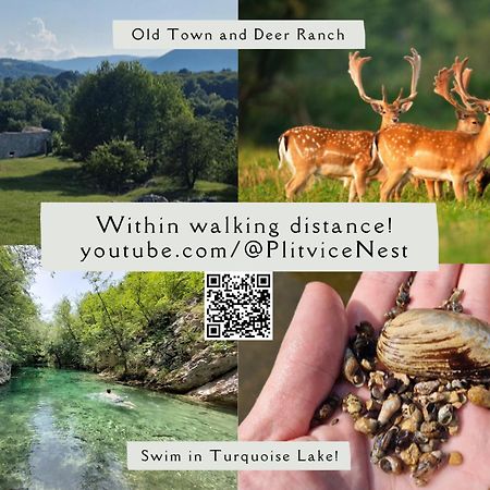 Plitvice Nest 2 Lägenhet Rakovica Exteriör bild